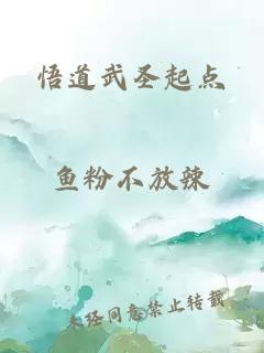 悟道武圣起點(diǎn)