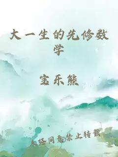 大一生的先修數(shù)學(xué)