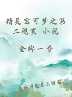 精靈寶可夢(mèng)之第二現(xiàn)實(shí) 小說(shuō)