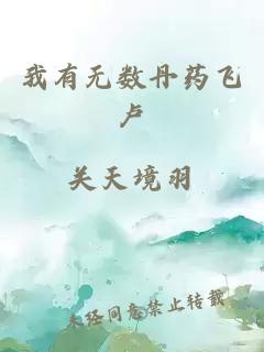 我有無數(shù)丹藥飛盧