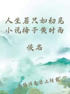 人生若只如初見小說梅子黃時雨
