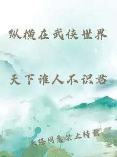 縱橫在武俠世界