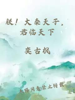 朕！大秦天子，君臨天下