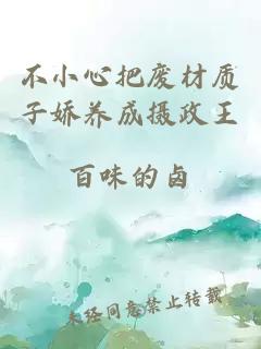 不小心把廢材質(zhì)子?jì)绅B(yǎng)成攝政王
