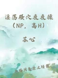 淫蕩騷穴夜夜操（NP，高H）