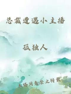 總裁遭遇小主播
