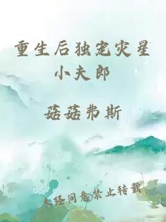 重生后獨(dú)寵災(zāi)星小夫郎