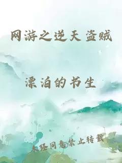 網(wǎng)游之逆天盜賊