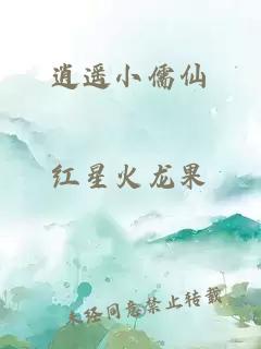 逍遙小儒仙