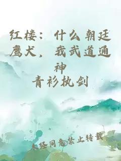 紅樓：什么朝廷鷹犬，我武道通神