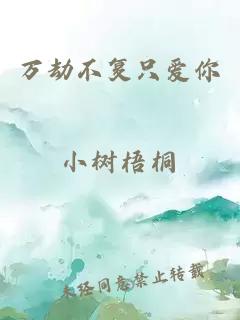 萬劫不復(fù)只愛你