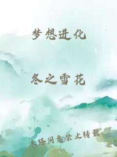 夢(mèng)想進(jìn)化