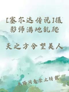 [塞爾達(dá)傳說]攝影師滿地亂爬