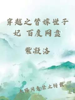 穿越之替嫁世子妃 百度網(wǎng)盤