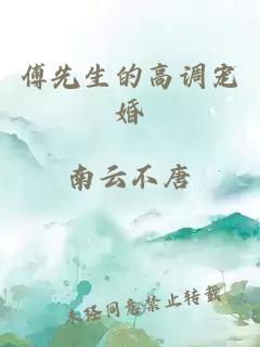 傅先生的高調(diào)寵婚