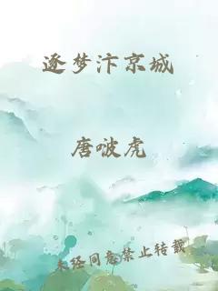 逐夢(mèng)汴京城