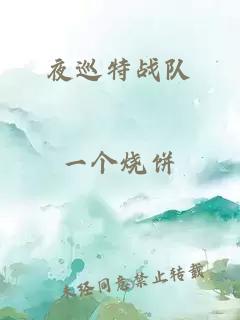 夜巡特戰(zhàn)隊