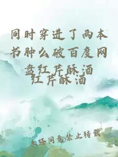 同時(shí)穿進(jìn)了兩本書腫么破百度網(wǎng)盤紅芹酥酒