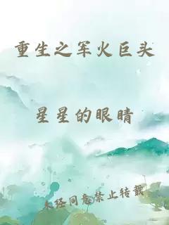 重生之軍火巨頭