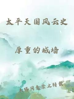 太平天國風(fēng)云史