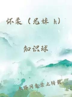 懷柔（兄妹 h）