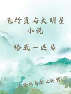 飛行員與大明星小說