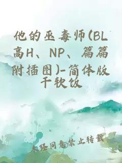 他的巫毒師(BL高H、NP、篇篇附插圖)-簡體版