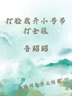 打臉我開小號吊打全服