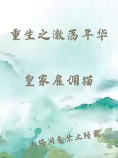 重生之激蕩年華