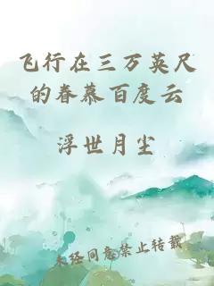 飛行在三萬英尺的眷慕百度云