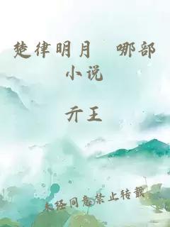 楚律明月珰哪部小說