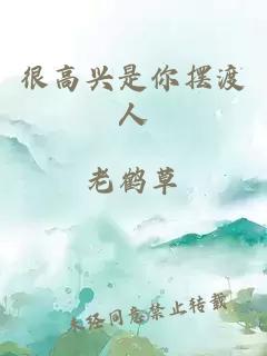 很高興是你擺渡人
