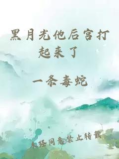 黑月光他后宮打起來了
