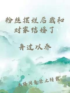 粉絲擺爛后我和對家結(jié)婚了