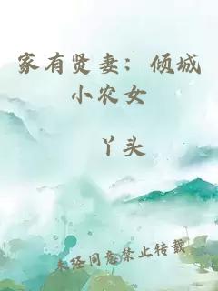 家有賢妻：傾城小農(nóng)女