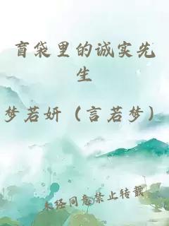 盲袋里的誠(chéng)實(shí)先生
