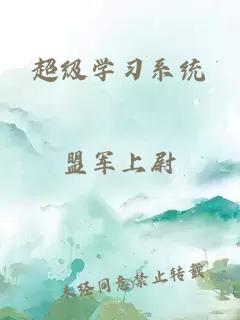 超級(jí)學(xué)習(xí)系統(tǒng)