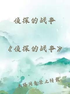 偵探的戰(zhàn)爭(zhēng)