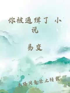你被通緝了 小說