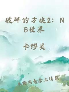 破碎的方塊2：NB世界