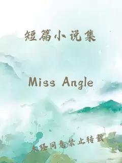 短篇小說集