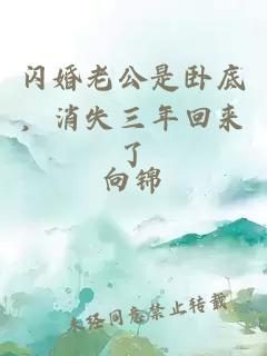 閃婚老公是臥底，消失三年回來(lái)了