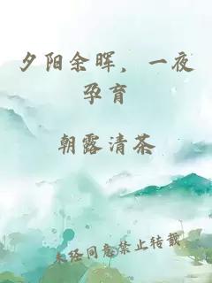 夕陽余暉，一夜孕育