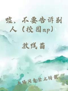 噓，不要告訴別人（校園np）