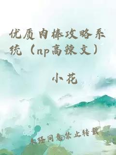 優(yōu)質(zhì)肉棒攻略系統(tǒng)（np高辣文）
