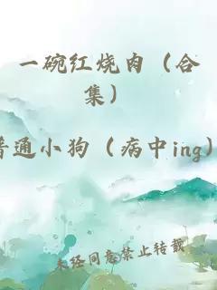 一碗紅燒肉（合集）