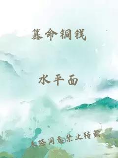 篡命銅錢