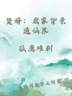 贅婿：我家背景通仙界