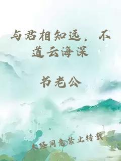 與君相知遠(yuǎn)，不道云海深