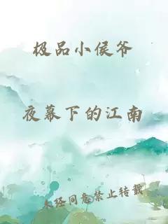 極品小侯爺